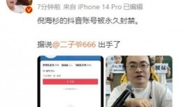 东方爆料倪海杉视频播放,倪海杉视频播放引发热议，揭秘背后真相